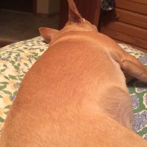 Meet your Posher, Justine